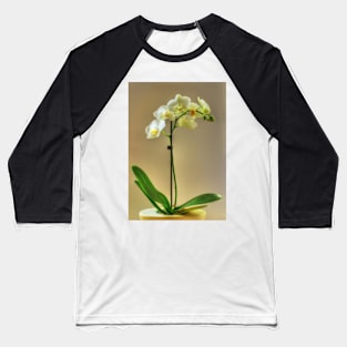 Orchid Baseball T-Shirt